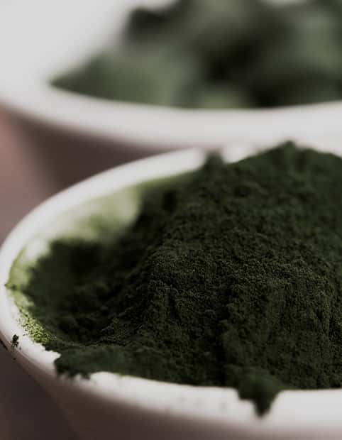 Spirulina