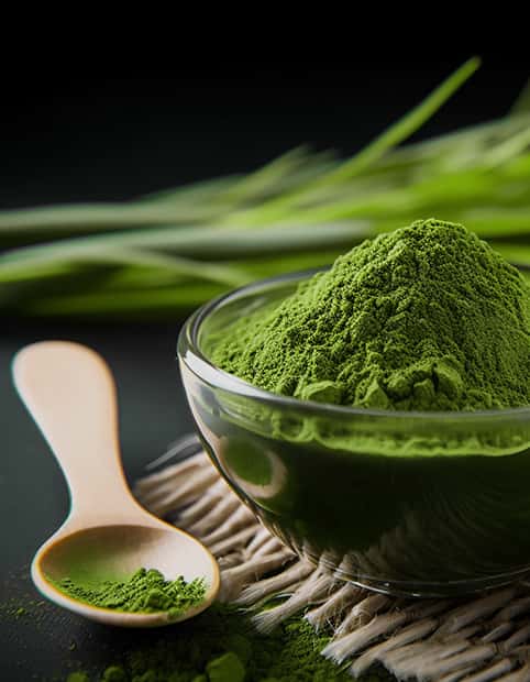 Spirulina